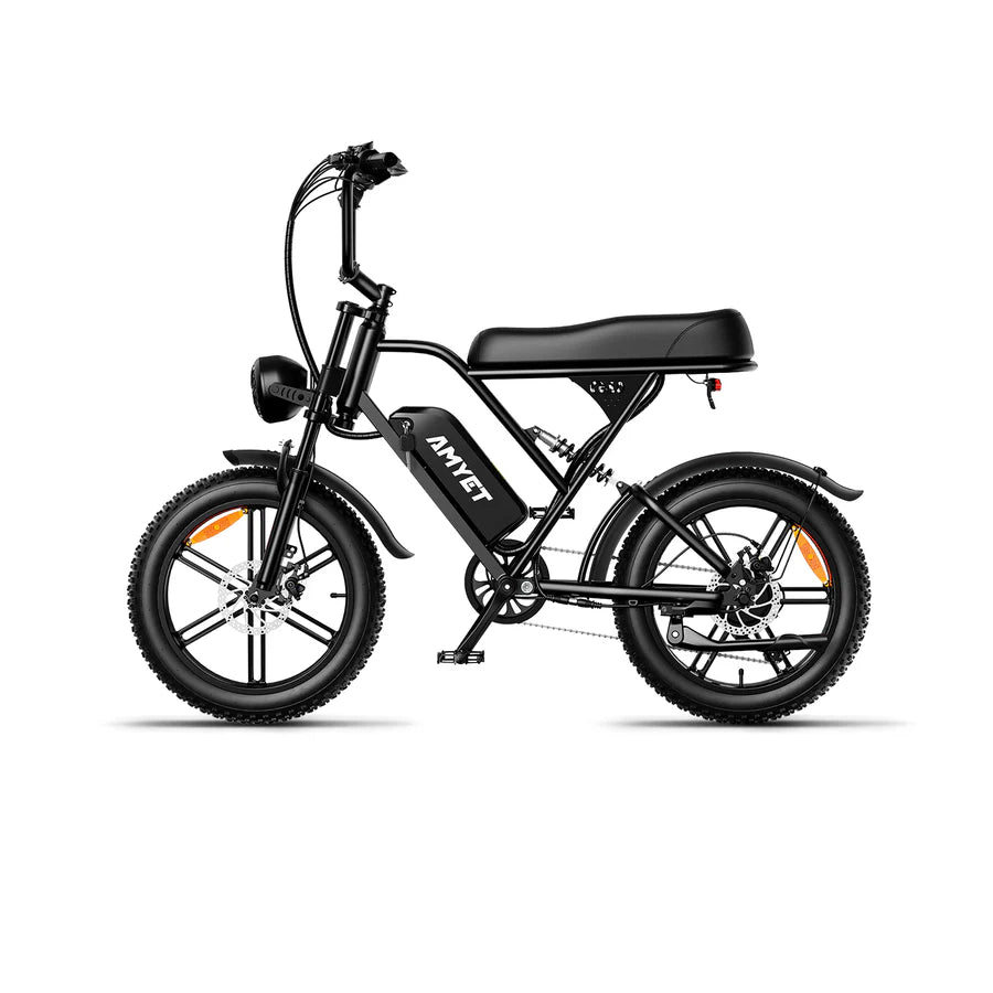 EBIKE AM60