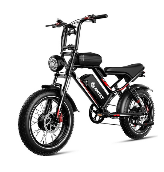 Electric bicycle S8