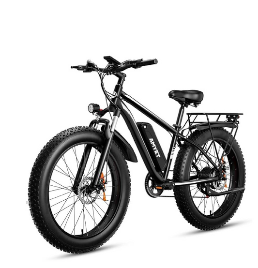 Electric bicycle EB26