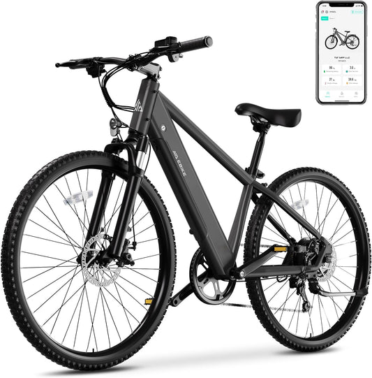 Electric Bicycle E1