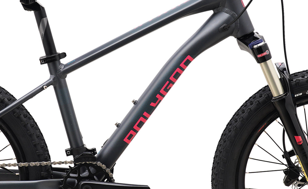 2024 Polygon- Kids Bike