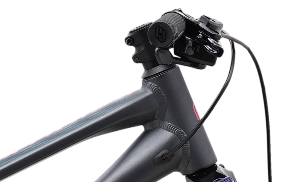 2024 Polygon- Kids Bike