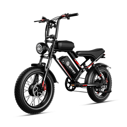 EBIKE AM1