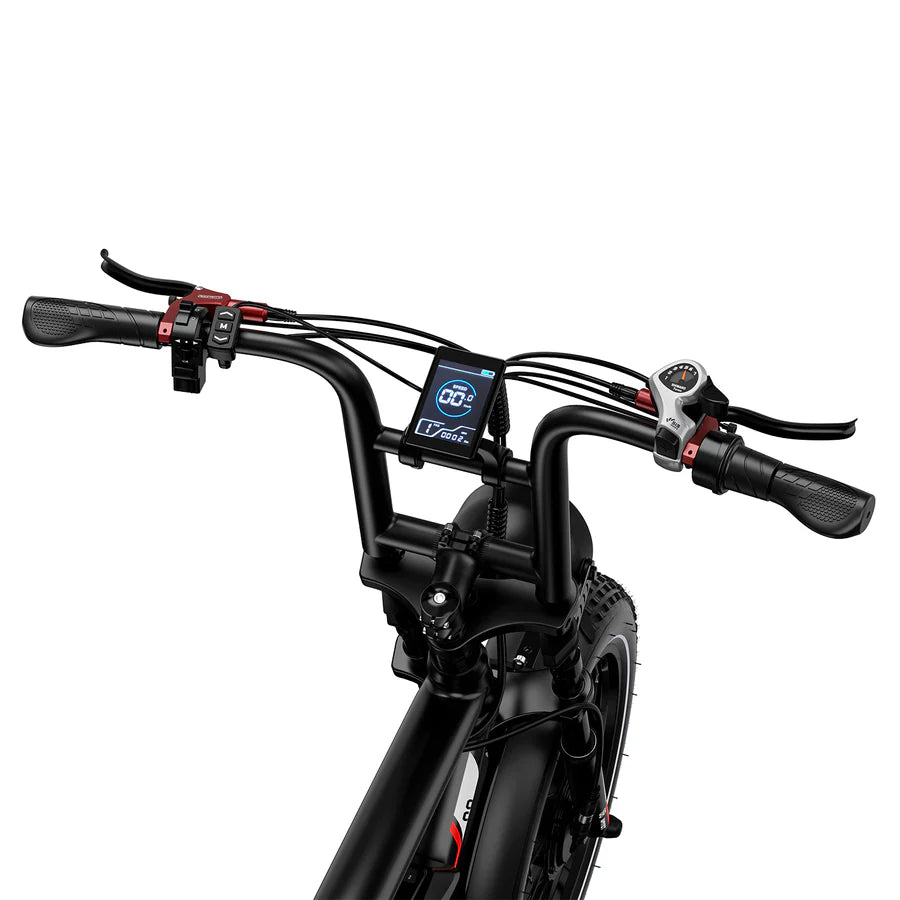 EBIKE AM1