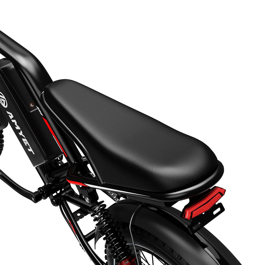 EBIKE AM1