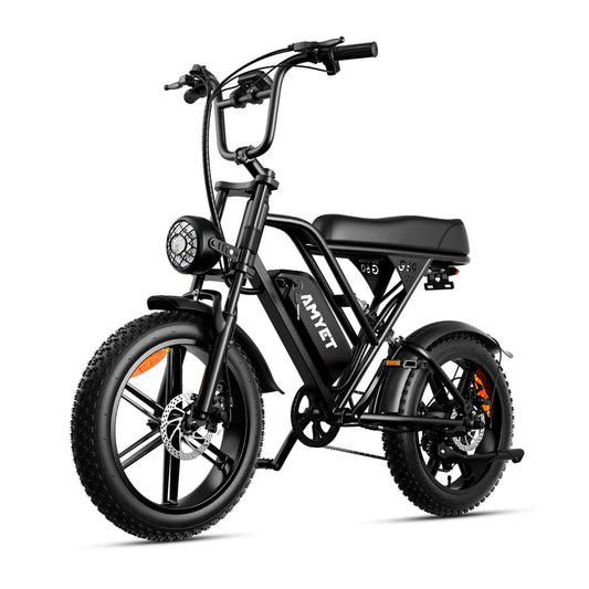 EBIKE AM60